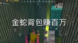 金蛇背包赚百万！